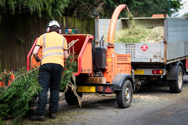 Best Tree Removal Cost  in Maltby, WA